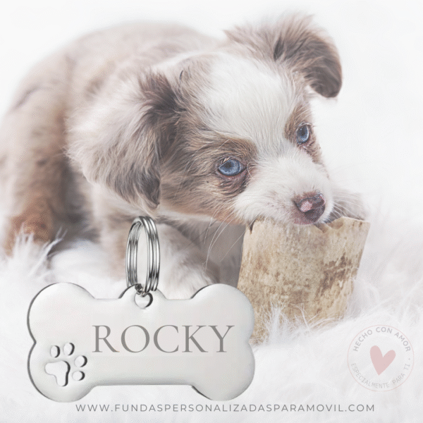 Colgante Acero Personalizado  Chapa Personalizada para Collar de Perro Hueso y Huella - Imagen 2