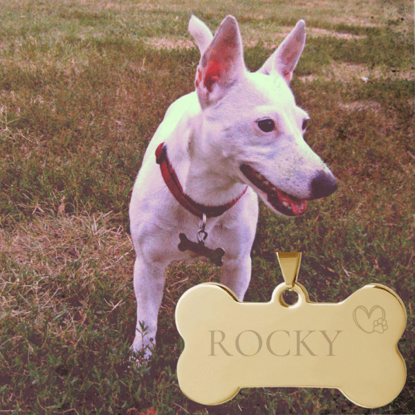 Colgante Acero Personalizado Chapa Personalizada para Collar de Perro Hueso - Imagen 2