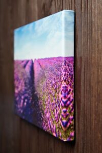 lienzos personalizados en Valencia-campo